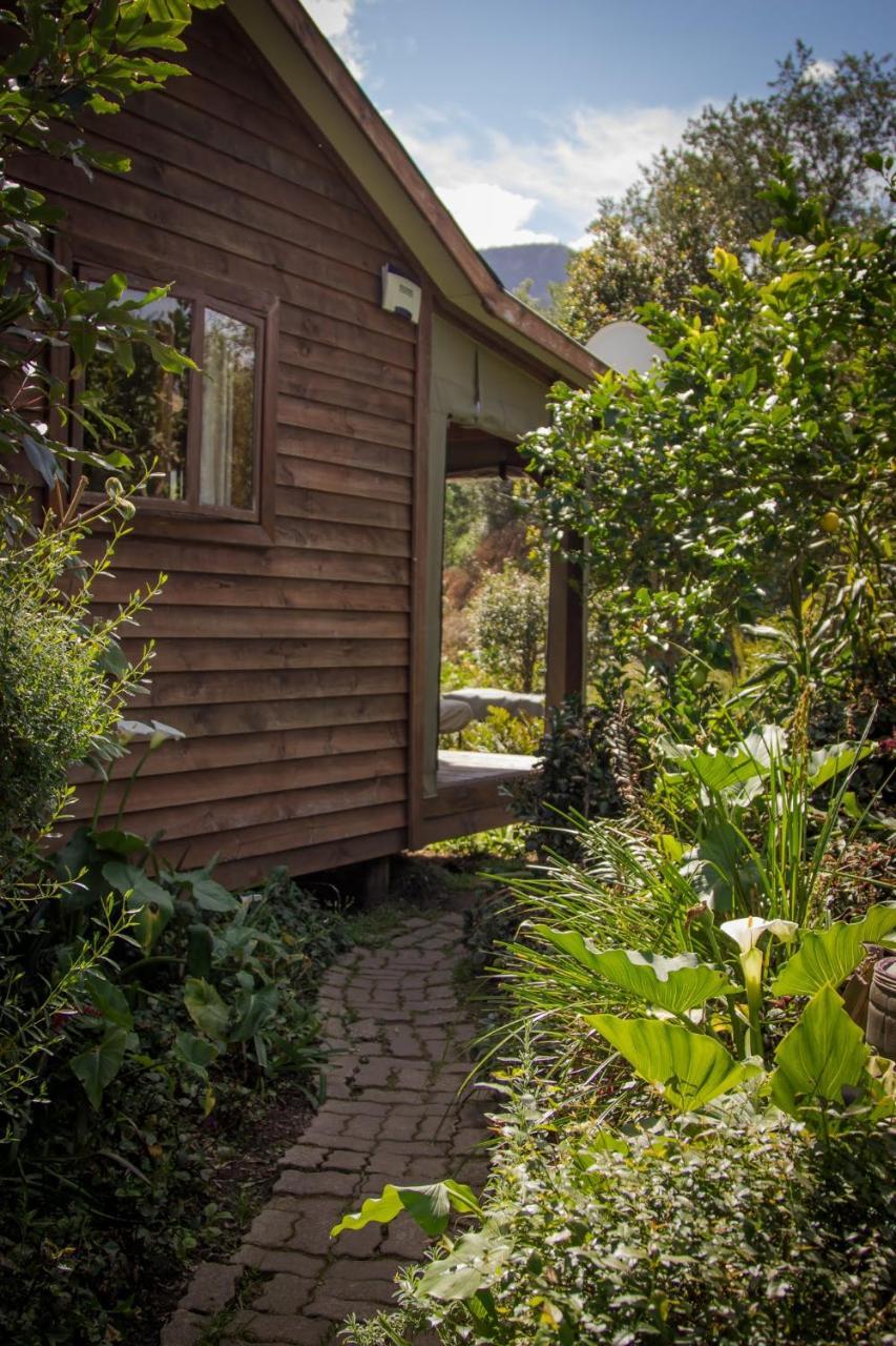 Pear Tree Cottage Stormsrivier Eksteriør billede
