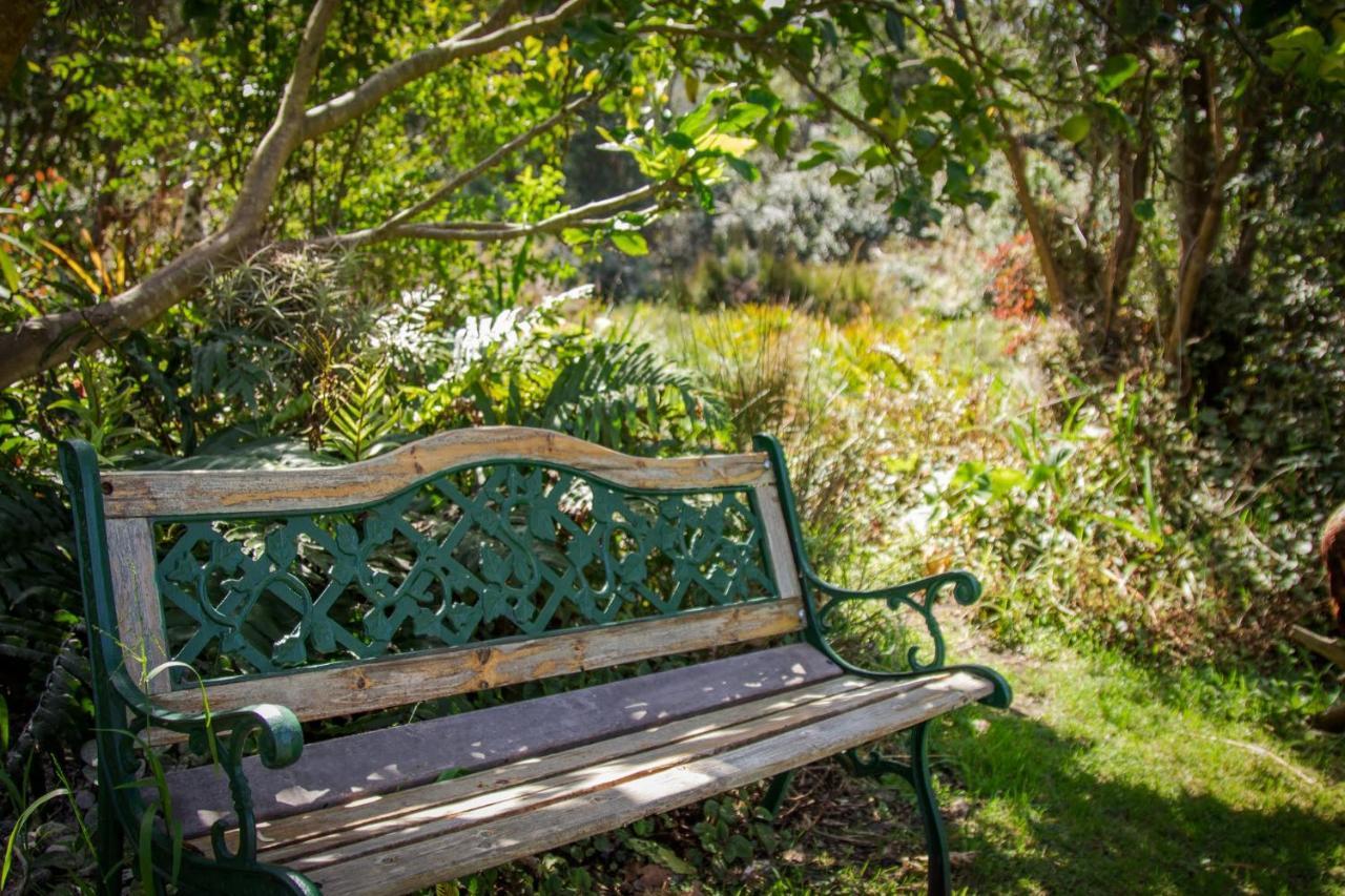 Pear Tree Cottage Stormsrivier Eksteriør billede
